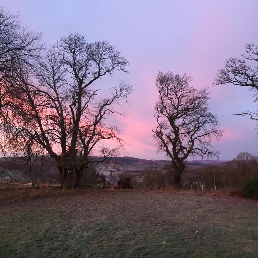 Willow Cottage, Gilchristland Organic Farm Closeburn Екстериор снимка